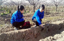 化學(xué)藥液過濾機 化學(xué)藥液過濾機